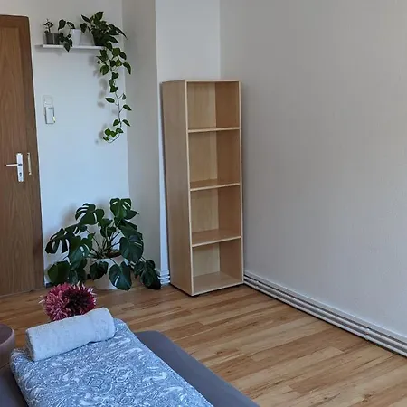 Apartment 5 Person Vacation In The Black Forest *