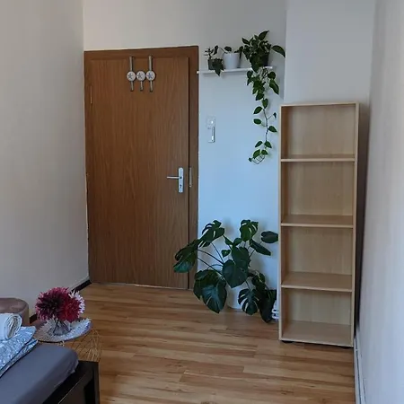 Apartment 5 Person Vacation In The Black Forest *